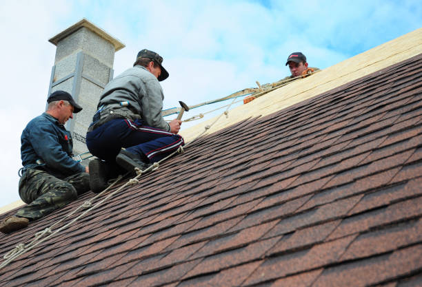 Best Roof Restoration Services  in Pomeroy, WA